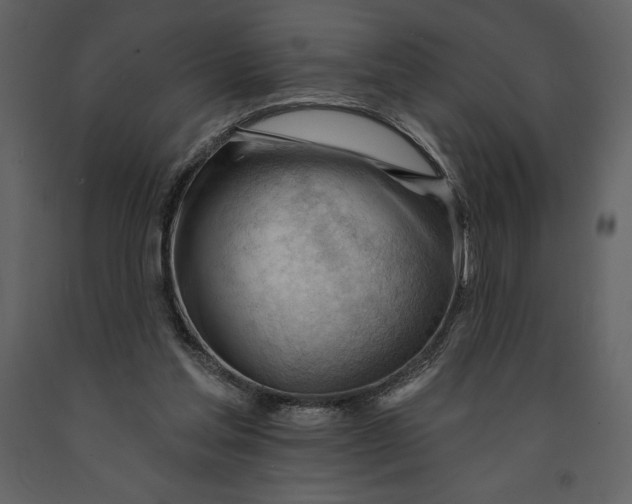 X0000090970205200708241323