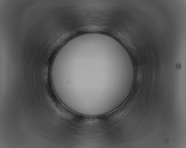 X0000090970206200708241323