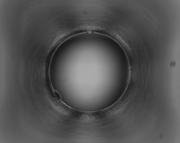 X0000090970207200708241323