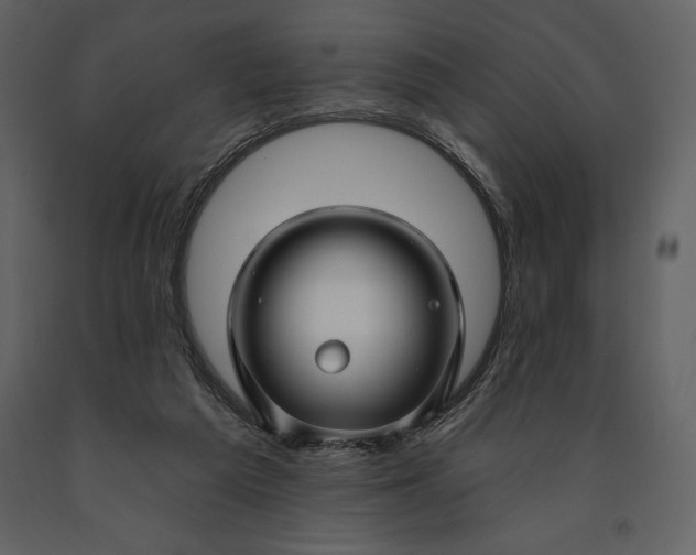 X0000090970209200708241323