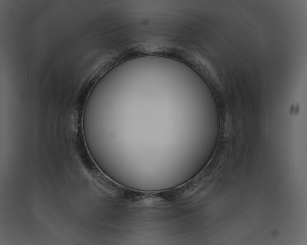 X0000090970210200708241323