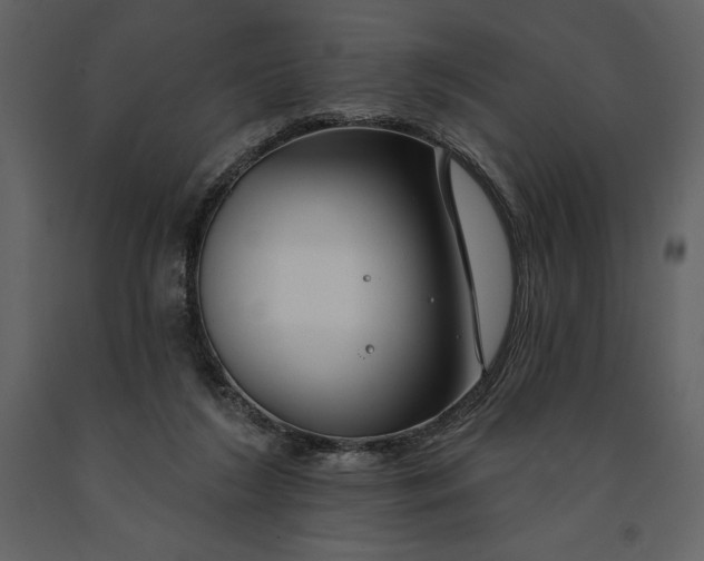 X0000090970212200708241323