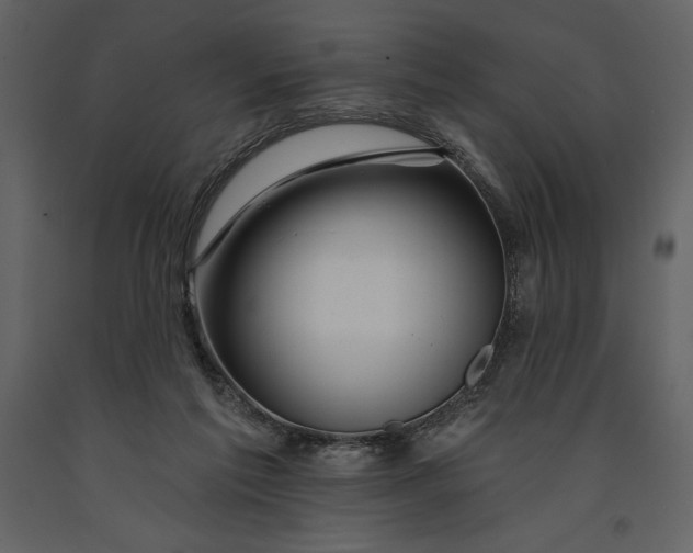 X0000090970213200708241323