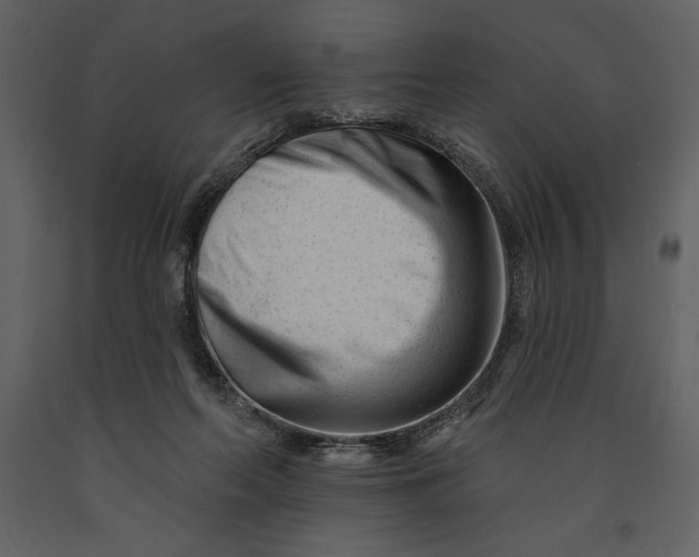 X0000090970214200708241323