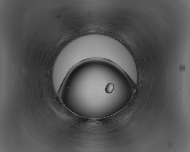 X0000090970215200708241323