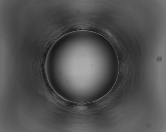 X0000090970217200708241323