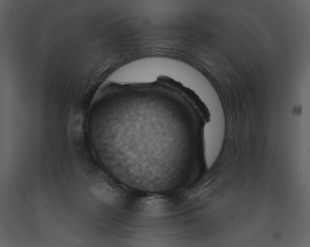 X0000090970219200708241323