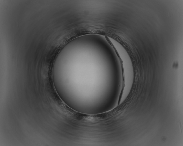 X0000090970221200708241323