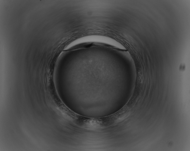 X0000090970223200708241323