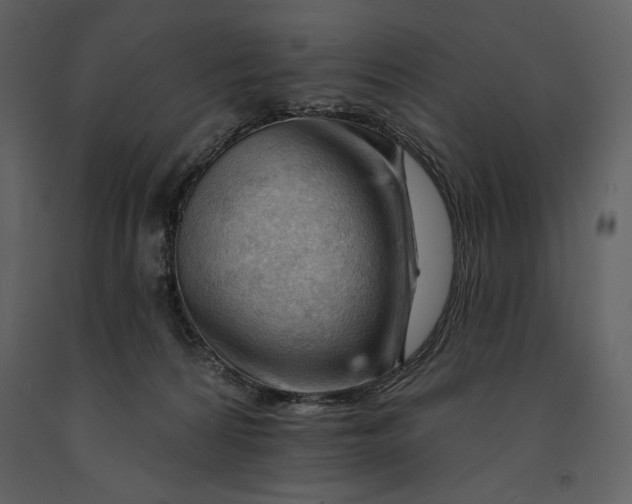 X0000090970224200708241323