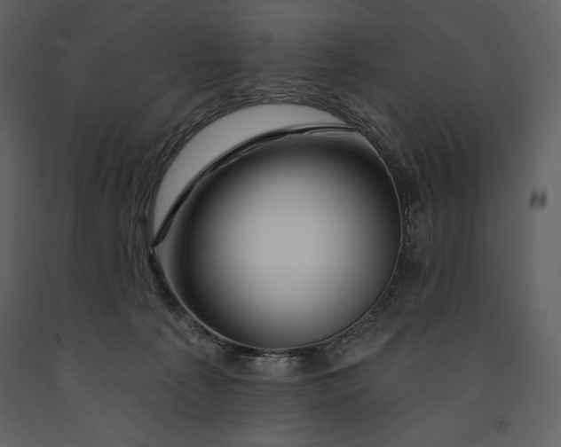 X0000090970225200708241323