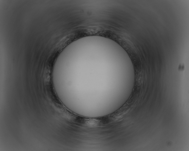 X0000090970226200708241323