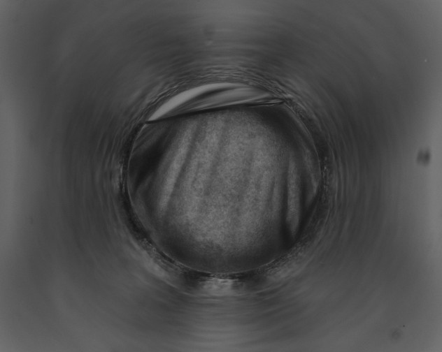 X0000090970227200708241323