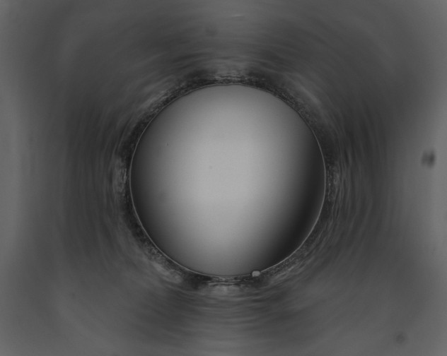 X0000090970228200708241323