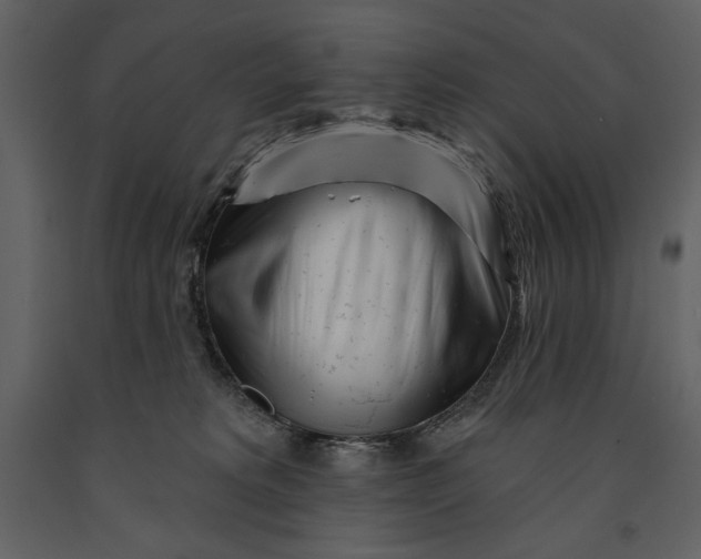 X0000090970229200708241323