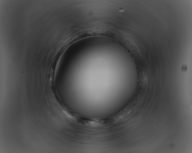 X0000090970232200708241323