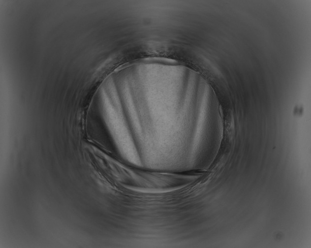 X0000090970233200708241323