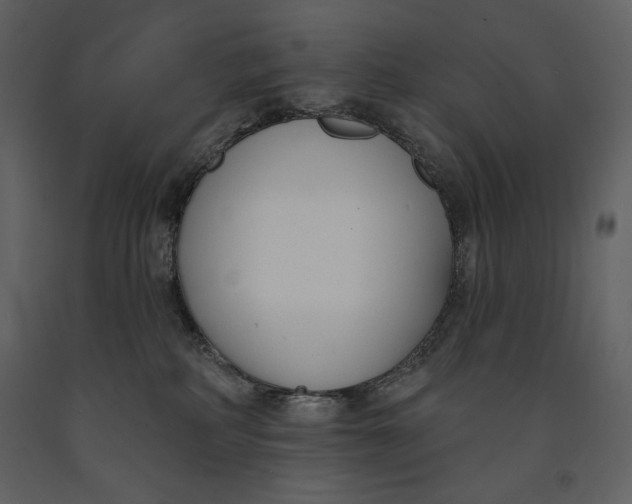 X0000090970234200708241323