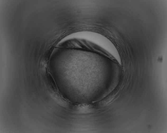 X0000090970235200708241323