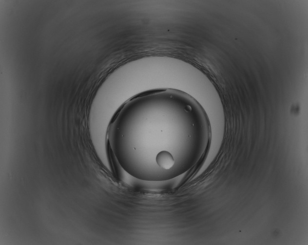 X0000090970237200708241322