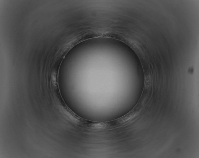 X0000090970238200708241322