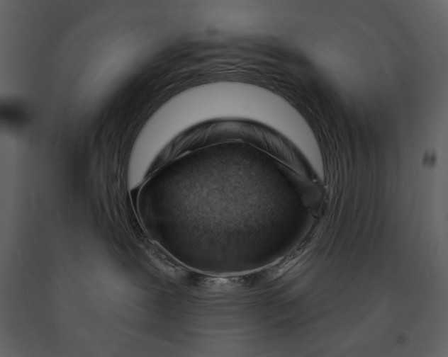 X0000090970239200708241322