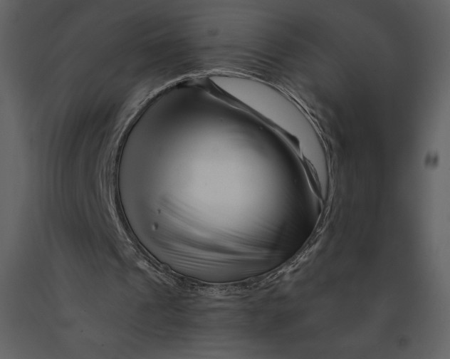 X0000090970241200708241322