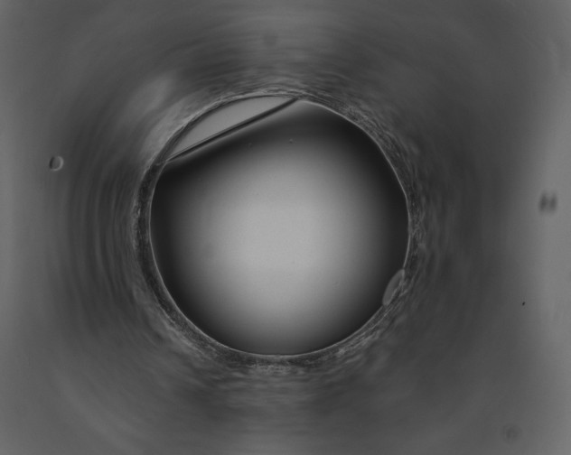 X0000090970242200708241322