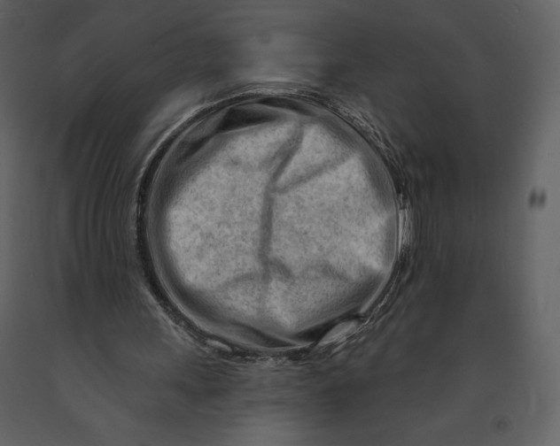 X0000090970243200708241322