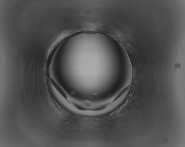 X0000090970244200708241322