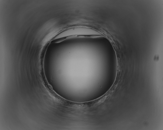 X0000090970245200708241322