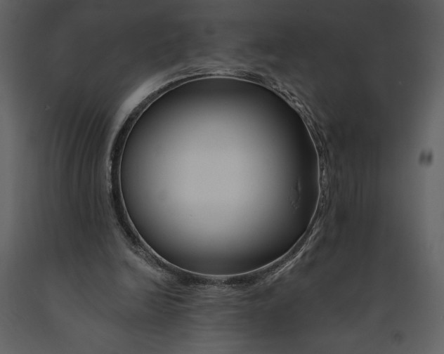 X0000090970246200708241322