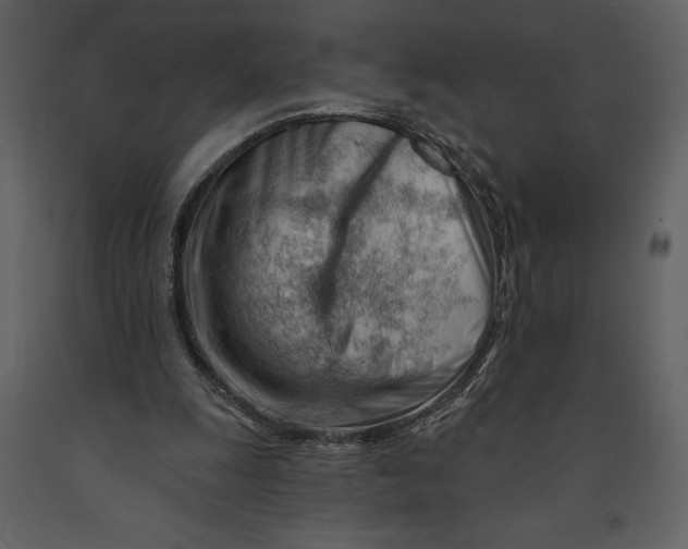 X0000090970247200708241322