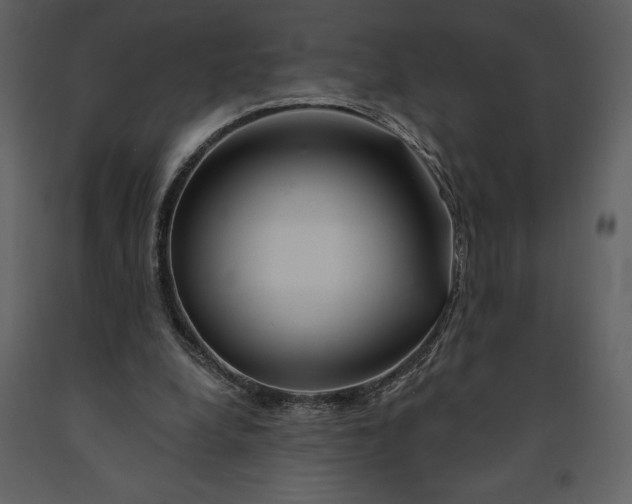 X0000090970248200708241322