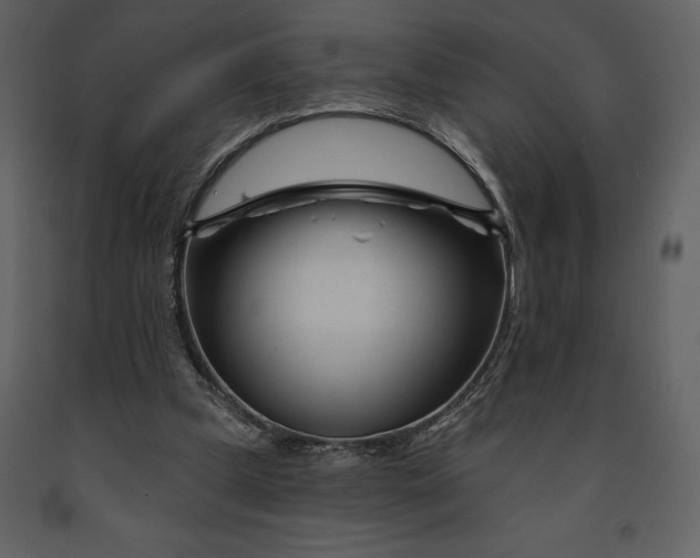 X0000090970249200708241322