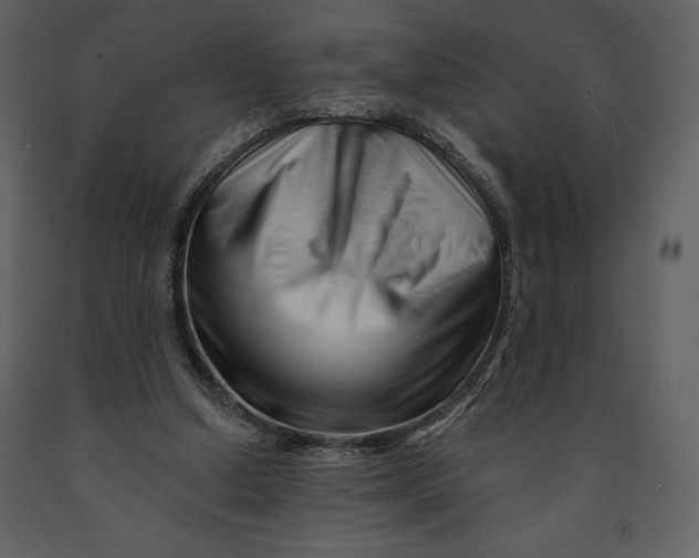 X0000090970250200708241322