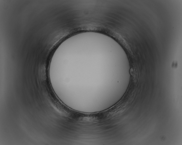 X0000090970251200708241322