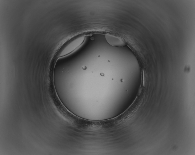 X0000090970252200708241322