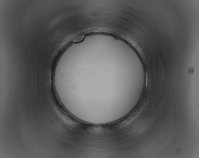 X0000090970253200708241322