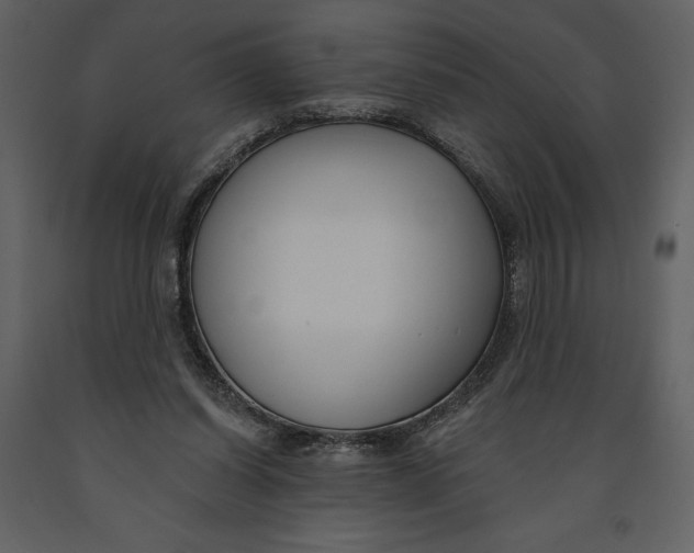 X0000090970254200708241322