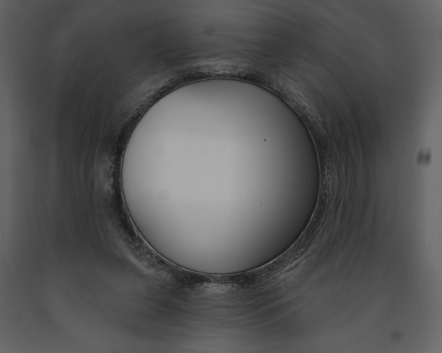 X0000090970255200708241322