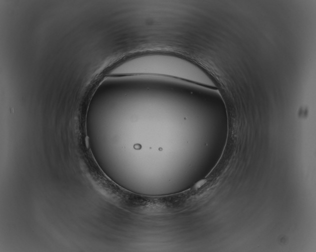 X0000090970256200708241322