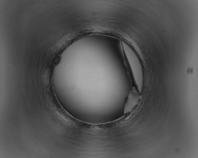 X0000090970257200708241322