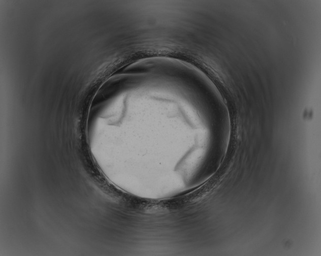 X0000090970258200708241322