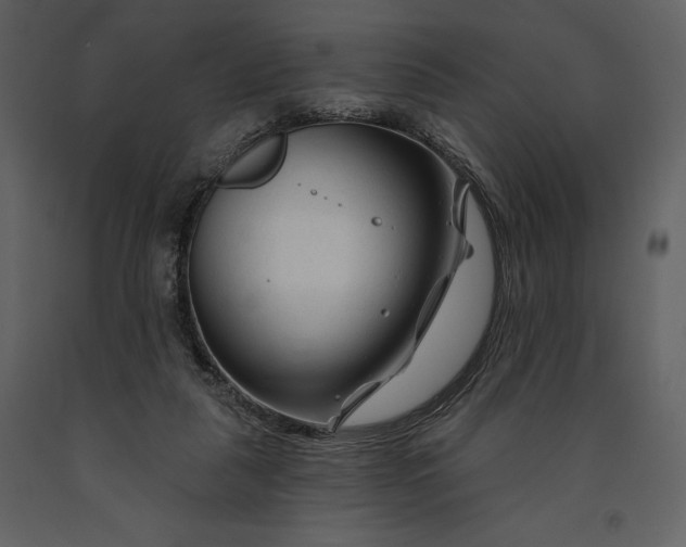 X0000090970259200708241322