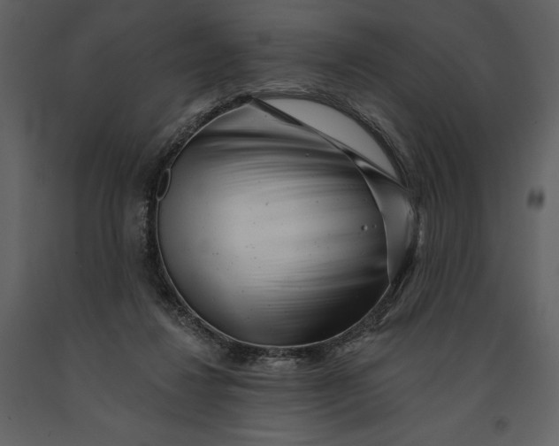 X0000090970260200708241322