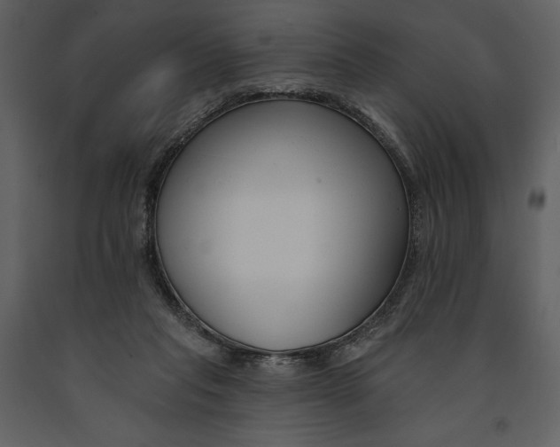 X0000090970261200708241322