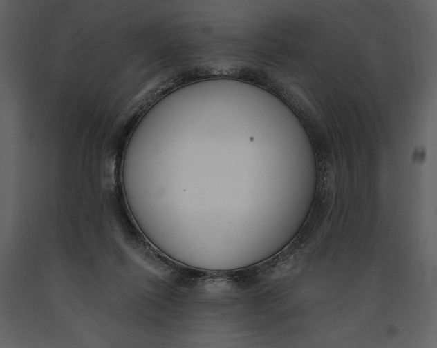 X0000090970262200708241322