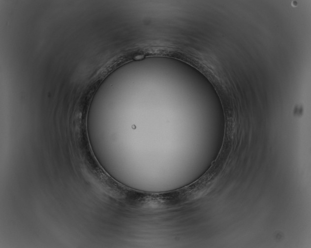 X0000090970263200708241322