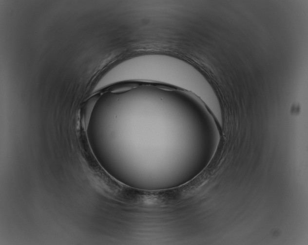 X0000090970264200708241322